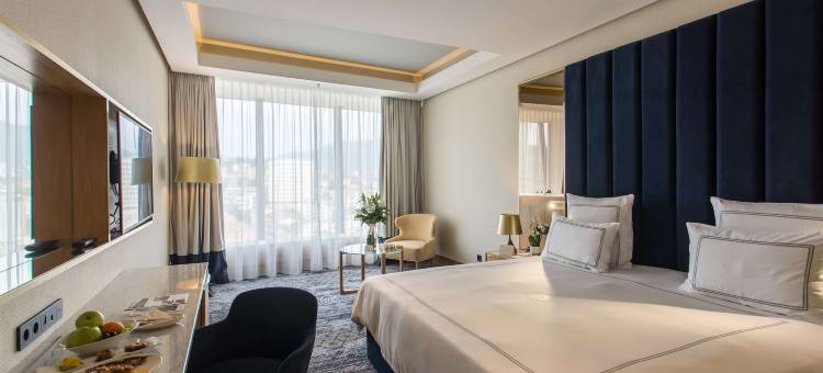 萨拉热窝瑞士酒店(Swissôtel Sarajevo)图片