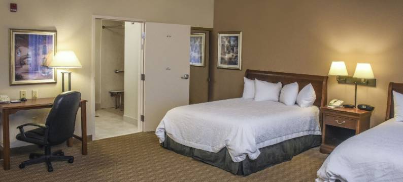 希尔顿欢朋套房酒店-杨斯敦坎菲尔德(Hampton Inn & Suites Youngstown-Canfield)图片