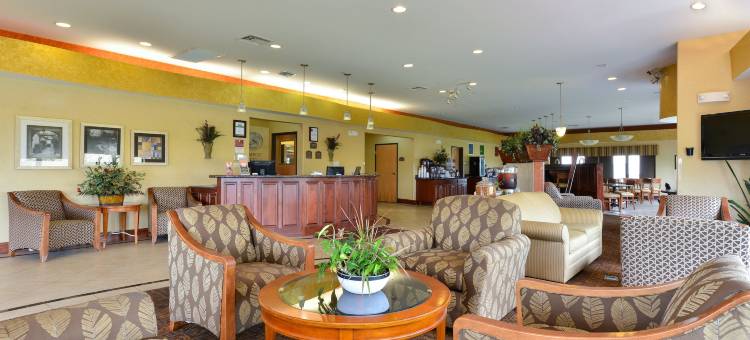 南萨莱纳舒适套房酒店(Comfort Suites Salina South)图片