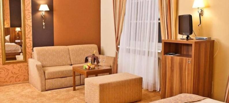 达格斯图赫勒酒店(Dagstuhler Hof)图片