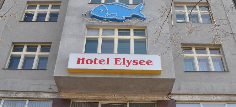 爱丽舍酒店(Elysee Hotel)图片