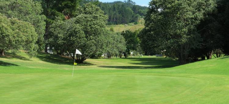 帕瓦努伊海风度假公寓(Ocean Breeze Resort Pauanui)图片