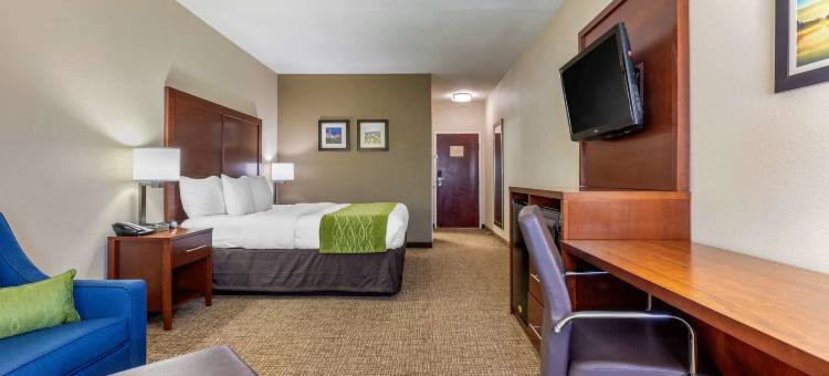 舒适酒店勒诺城-诺克斯维尔(Comfort Inn Lenoir City-Knoxville)图片