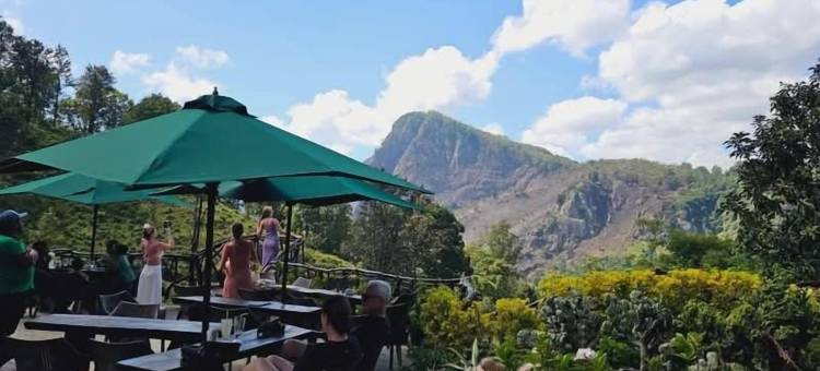 埃拉花卉园度假酒店(Ella Flower Garden Resort)图片