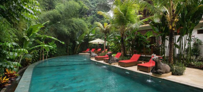 中央乌布丛林天堂度假村(Jungle Haven Resort Central Ubud)图片