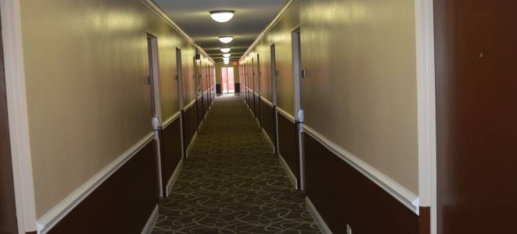 奥黑尔机场凯艺酒店(Quality Inn O'Hare Airport)图片