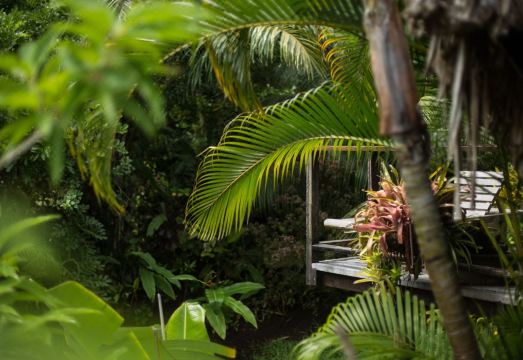 Rohotu Fare Hotel Overview