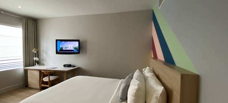 迈阿密海滩旅行者(Viajero Miami)图片