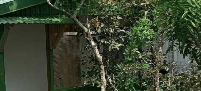 盖塔诺的角落(Rincón de Gaetano)图片