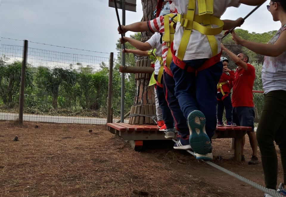 Ottocento Guest House Hotel Overview