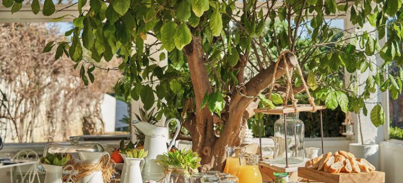 伊尔特拉佩泰洛(Il Trappetello)图片