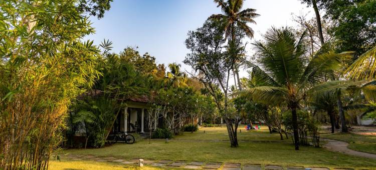 马拉里克古兰生命之树马莱里沙滩度假村(Seclude Kerala, Marari Sands)图片