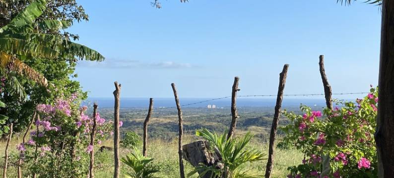 吗拉库亚(La Maracuyá)图片