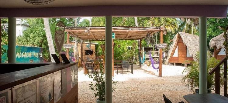 马帕切旅舍(Mapache Hostel & Camping)图片