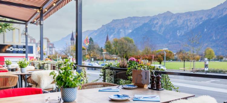 因特拉肯哈皮玛格度假村(Hapimag Ferienwohnungen Interlaken)图片