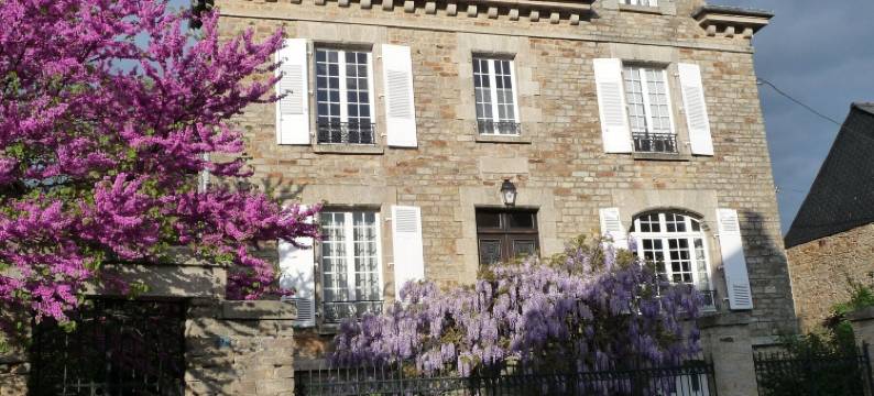 圣米歇尔14酒店(Le 14 St Michel)图片