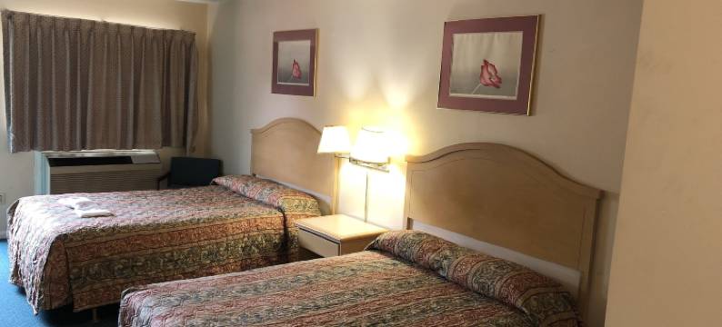 红枫旅馆(Red Maple Inn)图片