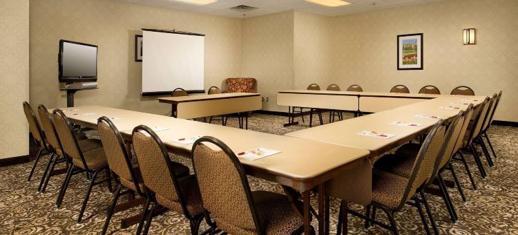 弗兰肯默斯德鲁套房酒店(Drury Inn & Suites Frankenmuth)图片