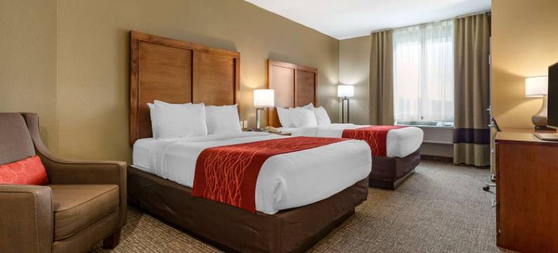 舒适套房酒店-近拉什莫尔山(Comfort Inn & Suites Near Mt Rushmore)图片