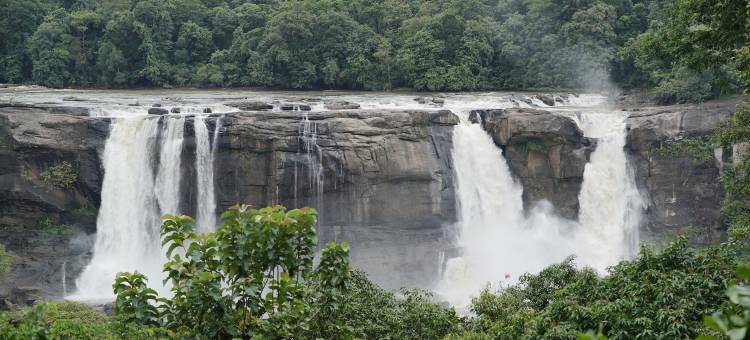 斯里贾神秘(Sreeja Myst)图片