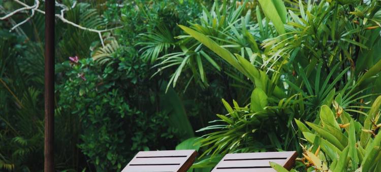 棕榈花园阿育吠陀度假村(Palm Garden Ayurveda Resort)图片
