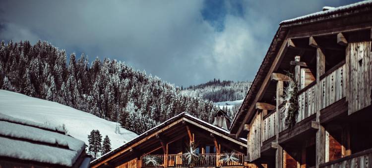 阿尔巴加 - 博米耶酒店(L'Alpaga, a Beaumier Hotel)图片