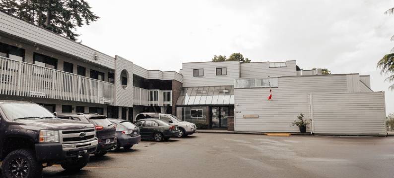 德利福特伍德旅馆(Driftwood Inn)图片