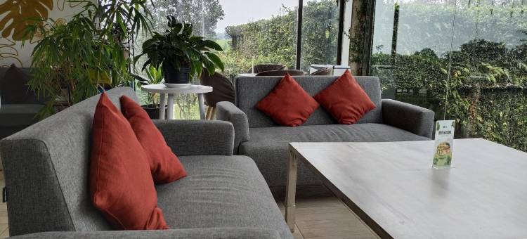 茶园度假村(Tea Garden Resort)图片