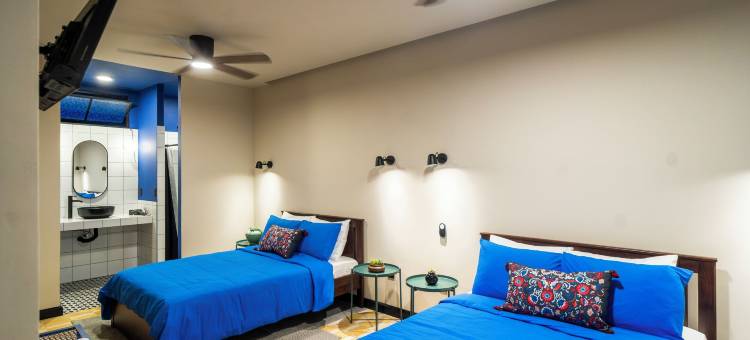 Ginger banana 青年旅舍(Ginger Banana Hostel)图片