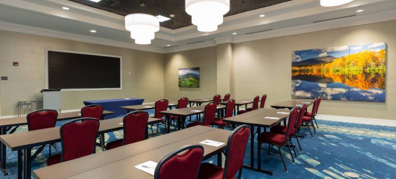 阿什维尔市区希尔顿花园酒店(Hilton Garden Inn Asheville Downtown)图片