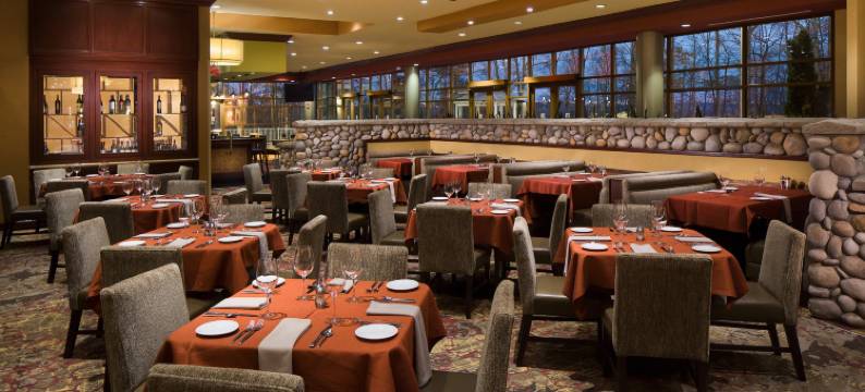 夏洛特康柯德高尔夫度假村及水疗中心希尔顿安泊酒店(Embassy Suites by Hilton Charlotte Concord Golf Resort & Spa)图片