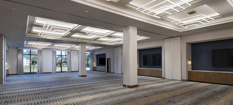 英迪格欧文酒店-拉斯科琳娜(Hotel Indigo Irving - Las Colinas)图片