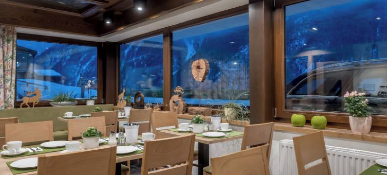 加尼维塞尔公寓式酒店(Apart Hotel Garni Wieser)图片