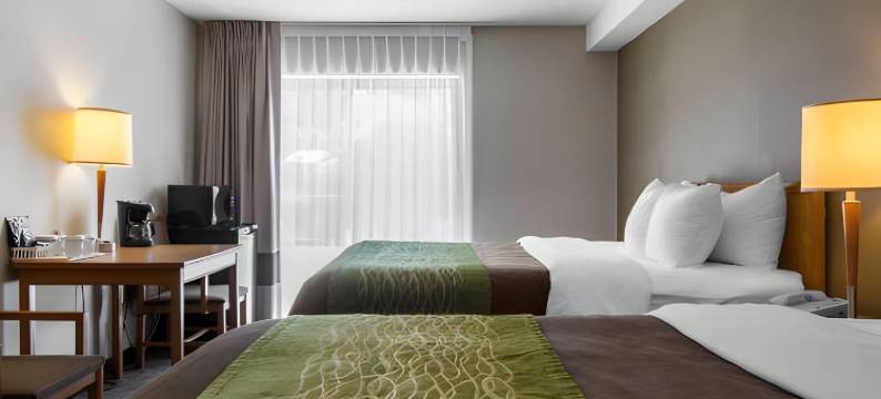 舒适酒店(Comfort Inn Dartmouth)图片