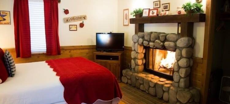 沉睡森林酒店(Sleepy Forest Cottages)图片