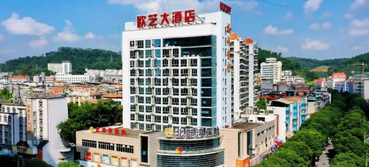 欧艺大酒店(右江民族医学院附属医院店)图片