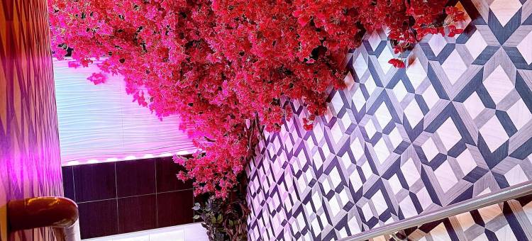 伞酒店(Umbrella Hotel Bronx)图片