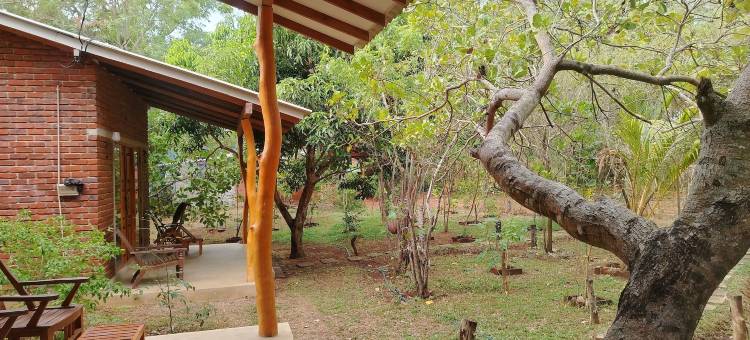 Wilpattu野生别墅(Wilpattu Wild Villa)图片