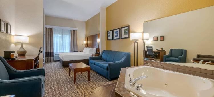 康福特套房-村庄酒店(Comfort Suites the Villages)图片