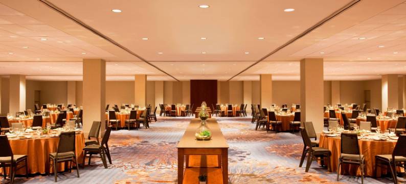 亚特兰大桃树广场威斯汀酒店(The Westin Peachtree Plaza, Atlanta)图片