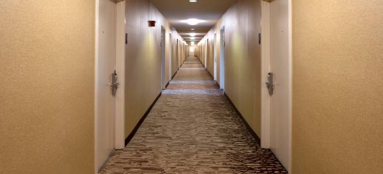 华盛顿红屋顶酒店(Red Roof Inn Washington, PA)图片