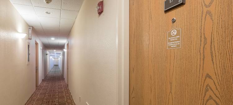 芒特荷里红顶套房酒店-麦圭尔空军基地(Red Roof Inn & Suites Mt Holly - McGuire AFB)图片