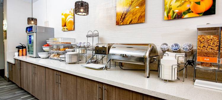 石油中心舒适套房酒店(Comfort Suites Oil Center)图片