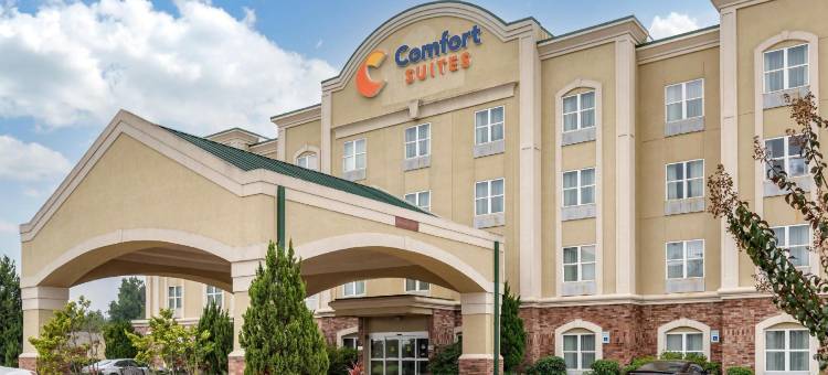 维克斯堡舒适套房酒店(Comfort Suites)图片