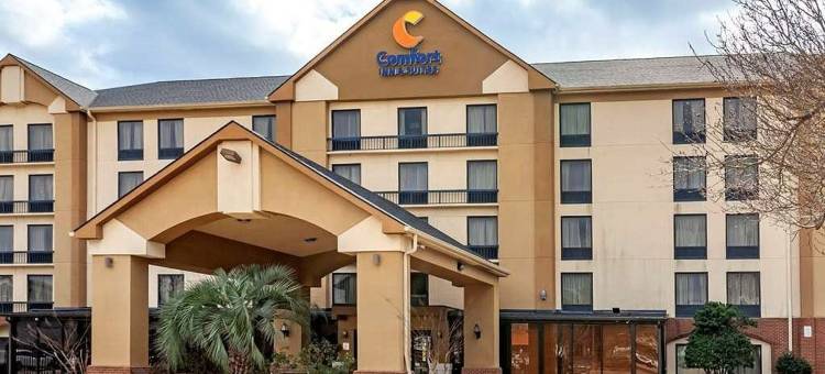 休斯顿I-10西能源走廊舒适套房酒店(Comfort Inn & Suites Houston I-10 West Energy Corridor)图片