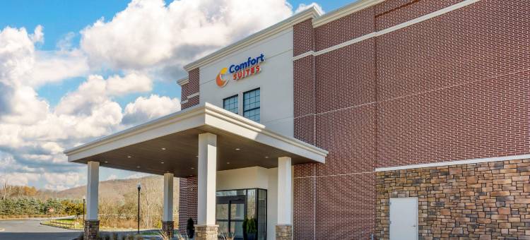中央谷伍德伯里舒适套房酒店(Comfort Suites Central Valley)图片
