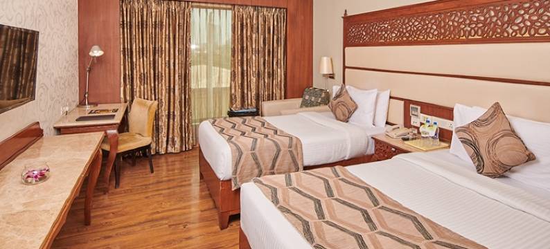 班加罗尔金翅雀酒店(Goldfinch Hotel Bangalore)图片