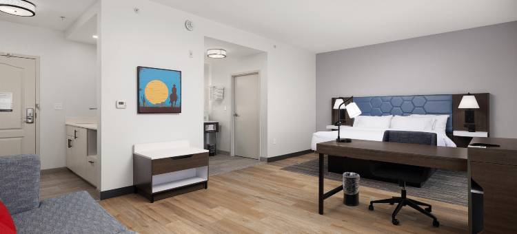 迈克艾伦欢朋酒店(Hampton Inn & Suites McAllen)图片