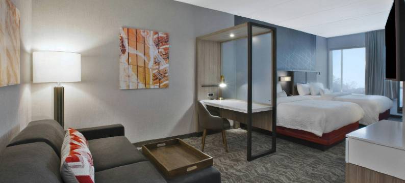 查塔努加北奥特华SpringHill Suites酒店(SpringHill Suites Chattanooga North/Ooltewah)图片