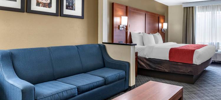 舒适酒店-俄克拉何马市南240号州际公路(Comfort Inn Oklahoma City South - I-240)图片